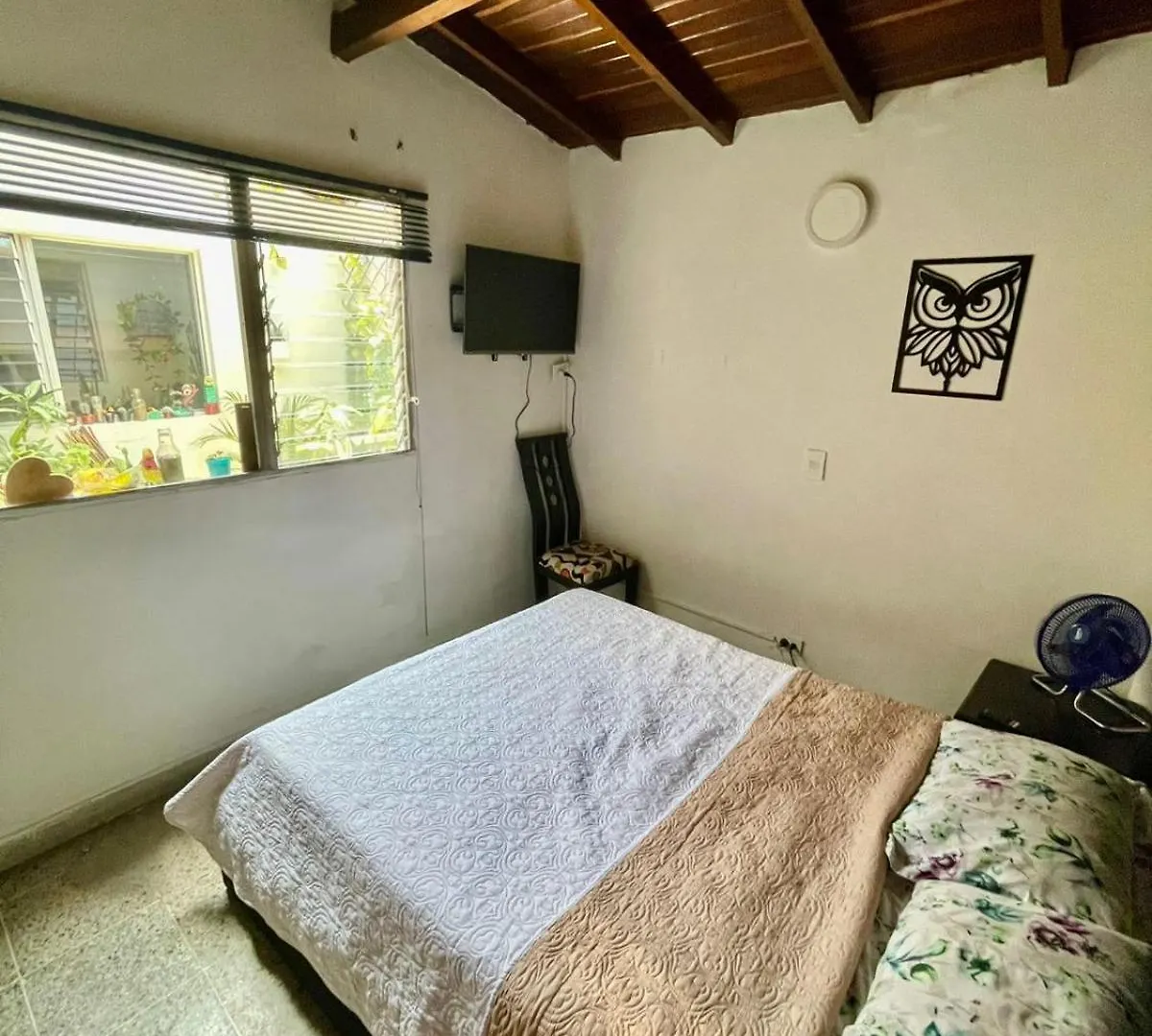Pensión Hostel Urban City Medellín